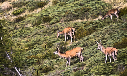 Group of deer on the alps illustration