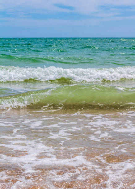 istock Sea waves. Coast. Waves in sea 1248672542