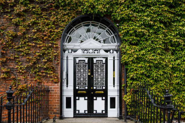 porte georgiane colorate a dublino, irlanda. porte storiche in diversi colori dipinte come protesta contro il regno legale del re inglese george sulla città di dublino in irlanda - dublin ireland brick built structure building exterior foto e immagini stock