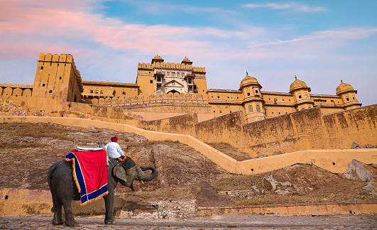 Amber Fort medieval architecture with decorated elephant used for tourist ride at Jaipur, Rajasthan, India. Amer Fort or Amber Fort was built in the year 1592 and designated now as a UNESCO World Heritage site