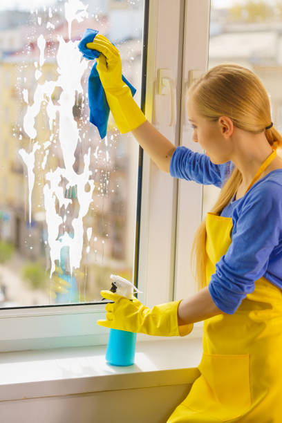 istock Woman cleaning window at home 1248673010