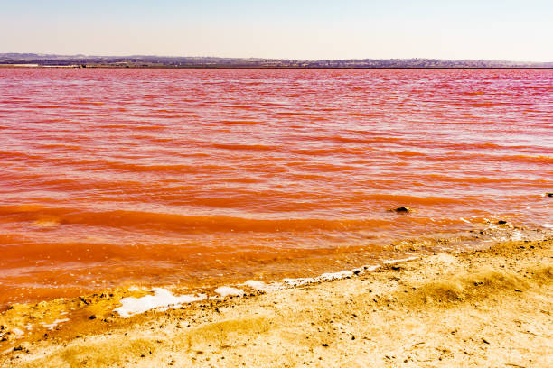istock Pink lake, coastal landscape, Spain 1248673903