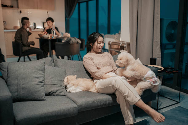 une fille asiatique d’adolescent chinois regardant la tv à la maison sur le sofa avec ses animaux de compagnie tandis que sa mère et son frère à la salle à manger ayant des repas la nuit - pets table animal cheerful photos et images de collection