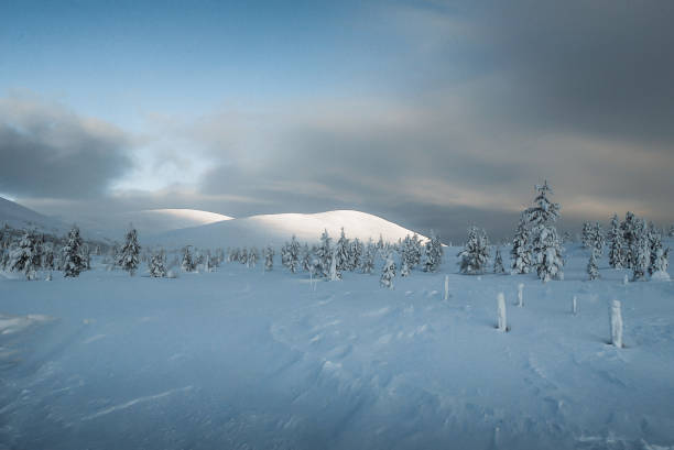 Arctic Lapland Winter Landscape Snowmobile Track in Finland Arctic Lapland Winter Landscape. Frozen snow-covered forest trees under sunset twilight winter sky. Snowmobile Track Road Markings through National Park Forest Winter Landscape. Illuminated hills in the background. Finnish Lapland in Winter. Ivalo, Finland, Scandinavian Countries, Northern Europe. Snowmobiling stock pictures, royalty-free photos & images