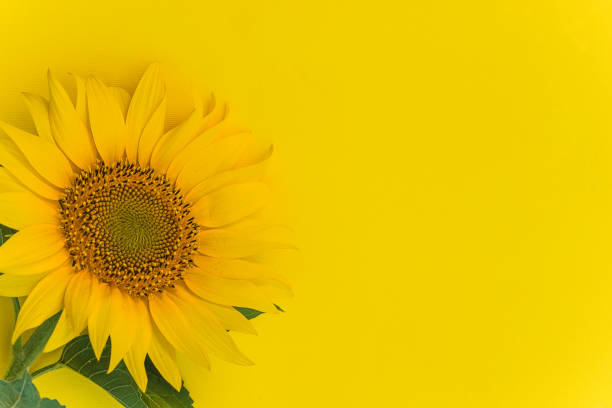 istock Beautiful background for greeting card 1248676959