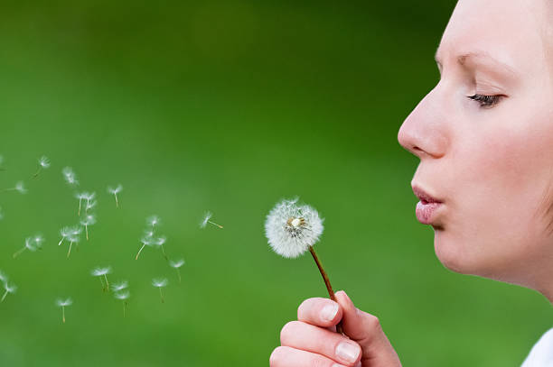 istock Beautiful girl is blowing dandelion 124868110