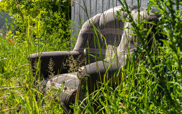 istock An old sofa stands in the grass in the open air. 1248681731
