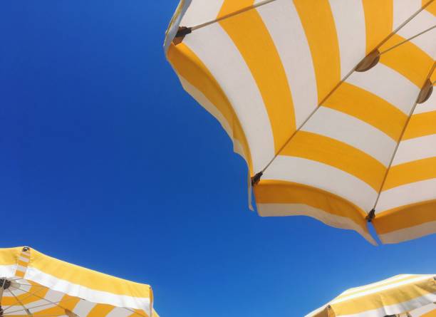 istock Low angle view of three parasols near a pool or on the beach 1248683130