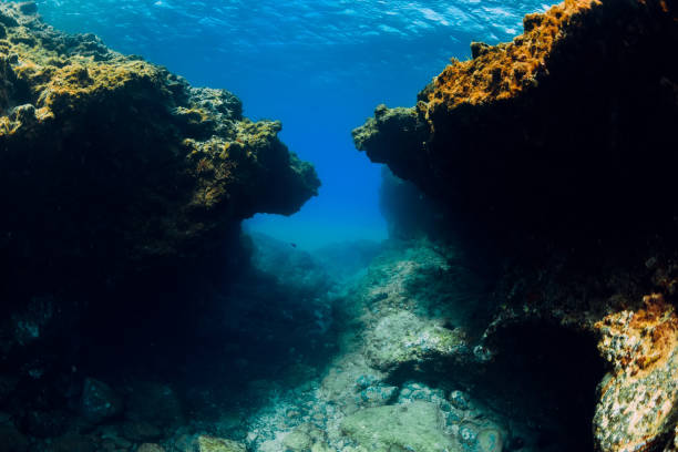 istock Underwater scene with rocks in blue ocean 1248684536