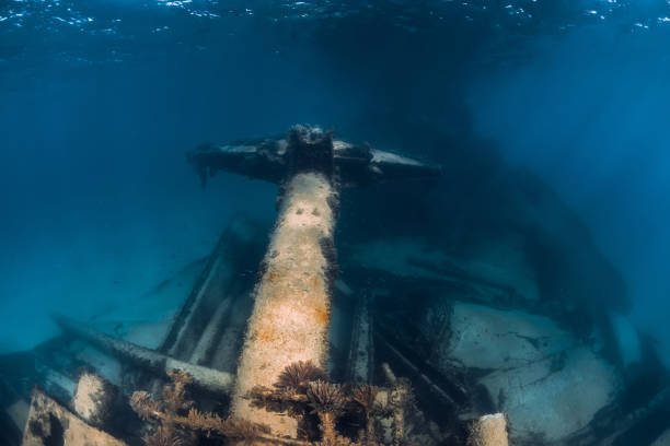 istock Telamon wreck ship underwater in blue ocean near Arrecife, Lanzarote 1248684546