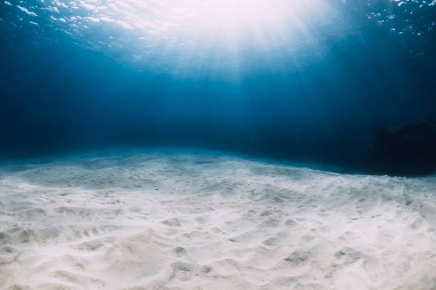 istock Blue ocean in the deep with white sandy bottom and underwater sun rays in Hawaii 1248684559