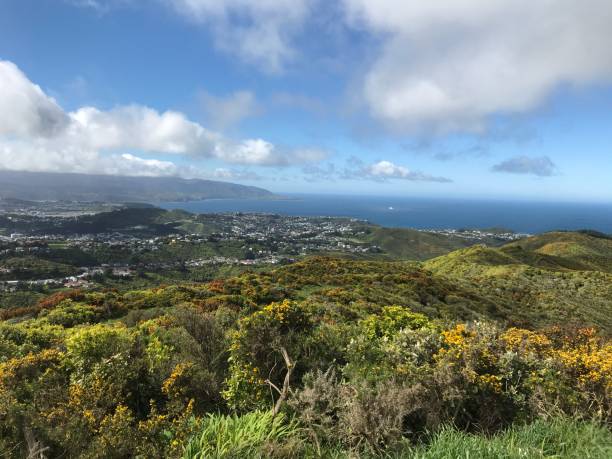 istock Cook Strait from Hawkins Hill, Wellington 1248684753