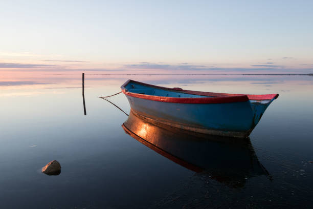 istock Sunrise over the Camargue regional natural park 1248686131
