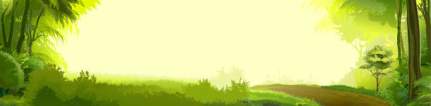 istock Forest landscape with a road, trees, shrubs and grass. Scenery horizontally. With a sunny background for text. Vector illustration. 1248686200