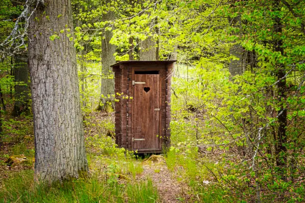 Photo of beautiful wooden professionally repaired outhouse in a green forest serves as a toilet in nature