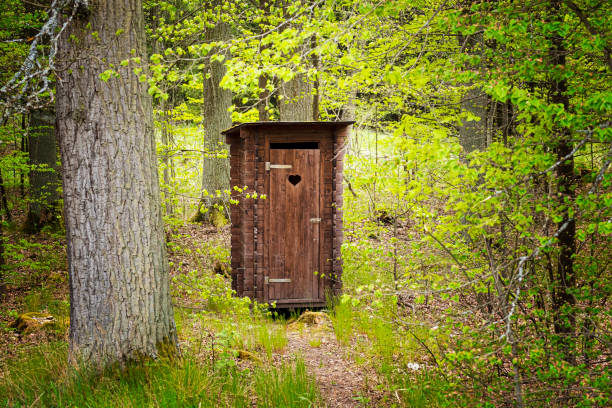bela madeira profissionalmente reparado outhouse em uma floresta verde serve como um banheiro na natureza - forest hut window autumn - fotografias e filmes do acervo