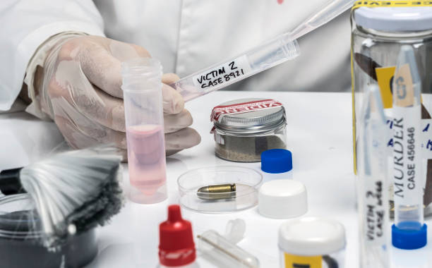 istock Hematological analysis with forensic test kit in a murder in a crime lab, conceptual image 1248691403