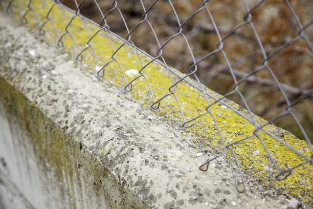 istock Metal fence on a wall 1248692550