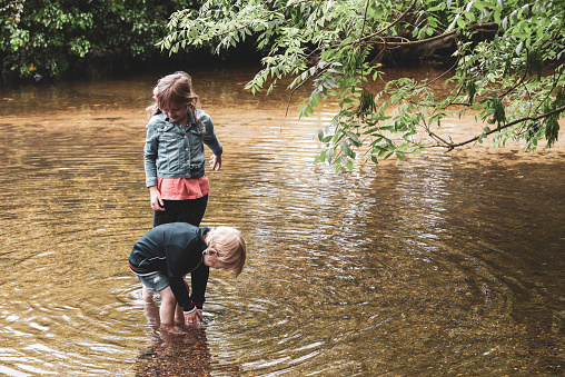 Children paddle in a fresh water stream together outside during a sunny family day out