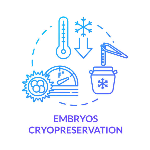 illustrations, cliparts, dessins animés et icônes de icône du concept bleu cryoconservation des embryons. donneur d’ovules ovariens féminins. traitement de l’infertilité. illustration mince d’idée de technologie de reproduction. dessin de couleur rgb de contour isolé de vecteur - cryobiology