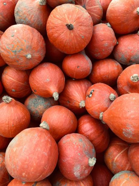 istock Selling pumpkins in Bavaria without a seller 1248697217