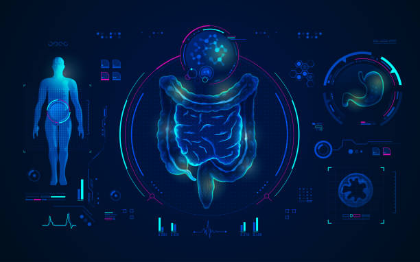 illustrations, cliparts, dessins animés et icônes de technologie médicale - estomac