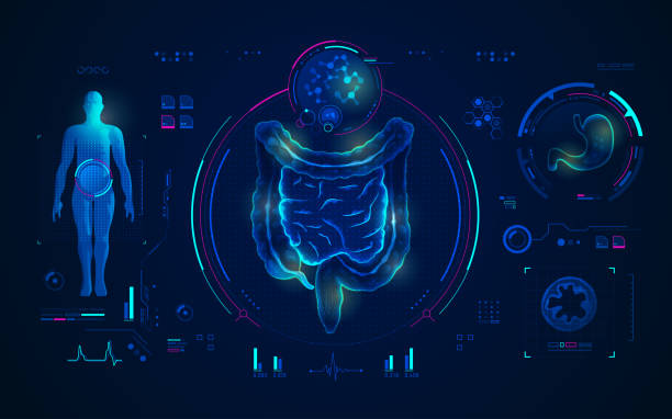 medical technology concept of medical technology, graphic of intestine and stomach in x-ray theme diagnostic equipment stock illustrations