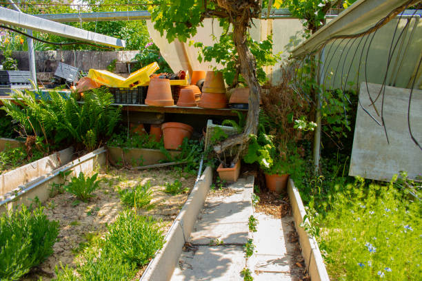Flower bed in a old damaged abandoned greenhouse