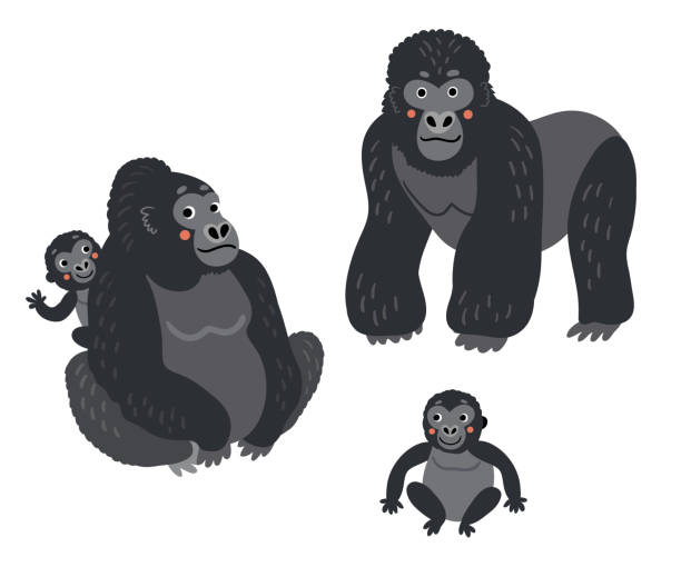 ilustrações, clipart, desenhos animados e ícones de gorilas família vetor macacos definidos. ilustração fofa - gorila