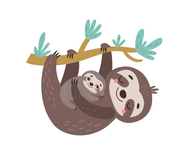 Sloths Mom And Baby Vector Illustration Stock Illustration - Download Image  Now - Mother, Young Animal, Illustration - iStock