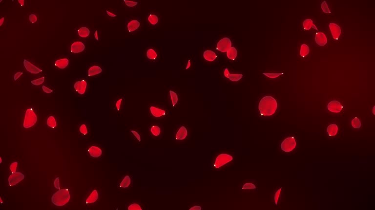 Pink Roses Falling Loop Motion Background 3,700+ Falling Roses Stock Videos and Royalty-Free Footage - iStock