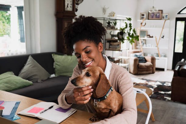 istock Woman working from home with her puppy on her lap 1248700630