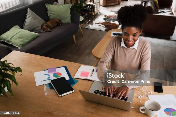 Young Professional Woman Working And Studying From Home Stock Photo - Download Image Now