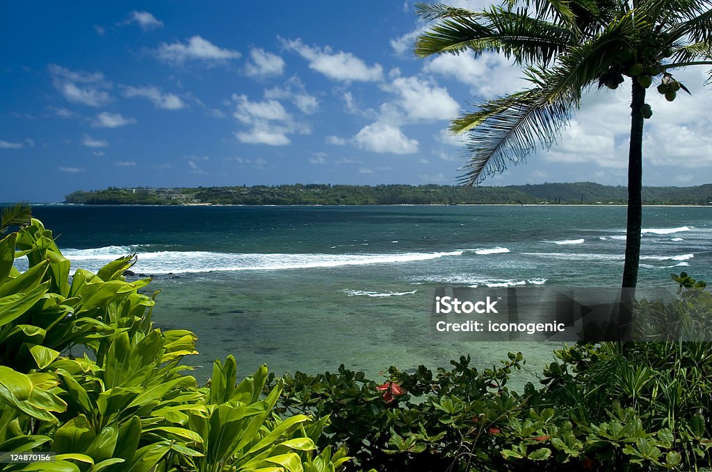 Beautiful Beach Beach on Kauai, Hawaii. Hawaii Islands Stock Photo