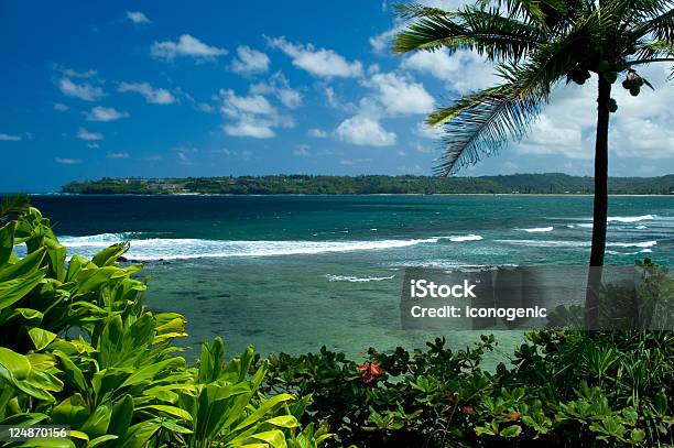 Beautiful Beach Stock Photo - Download Image Now - Hawaii Islands, Island, Beach