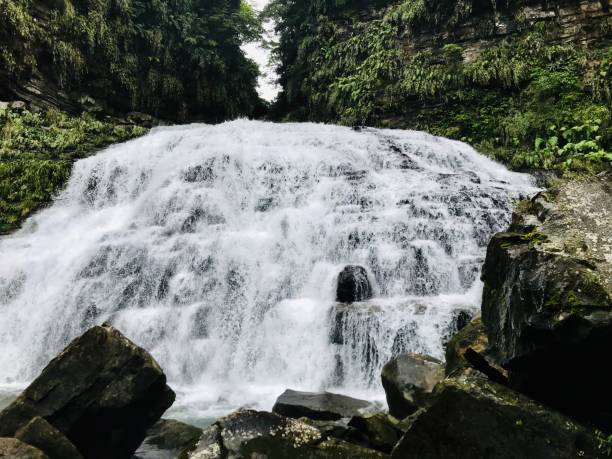 istock Iriomote Island Mayagusk Falls 1248705639