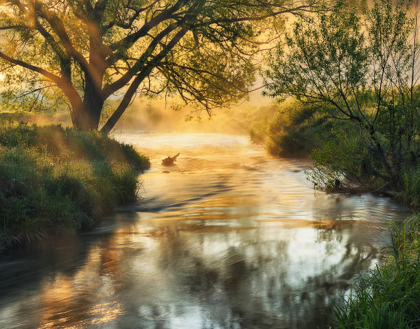 istock Morning fog on the river 1248706188