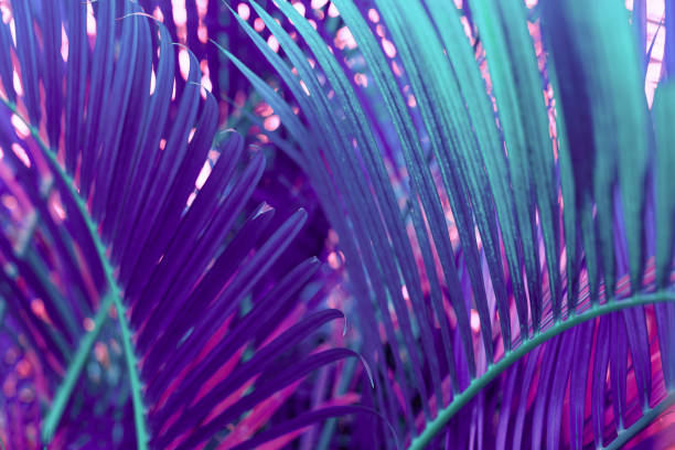 istock Neon colored palm tree leaves. Tropical trees background 1248706273