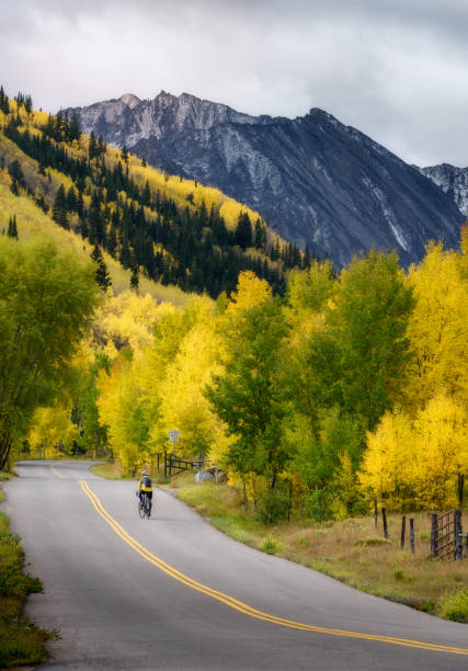 istock Bicycle trail in Ashcroft ghost town, Colorado 1248706905