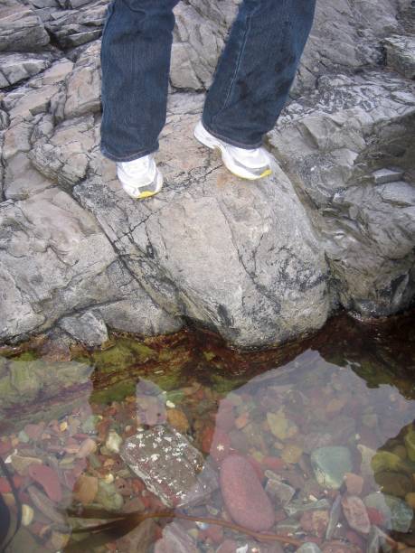 istock Feet standing on a rock next to tidal pool. 1248707155
