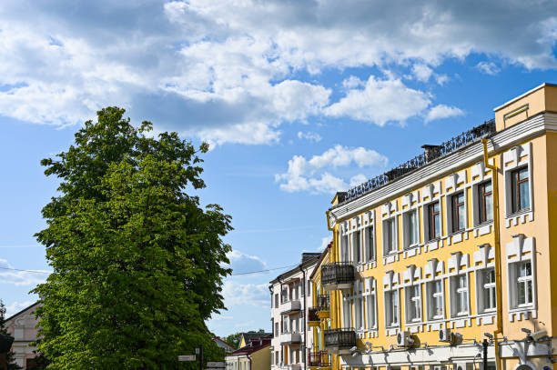 istock Green tree near denmark and sky 1248707881
