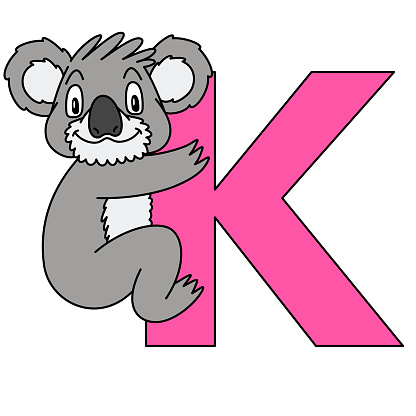 Animal Alphabet Capital Letter K Koala Illustration For Pre School  Education Kindergarten And Foreign Language Learning For Kids And Children  For Print And Books Zoo Topic Stock Illustration - Download Image Now -