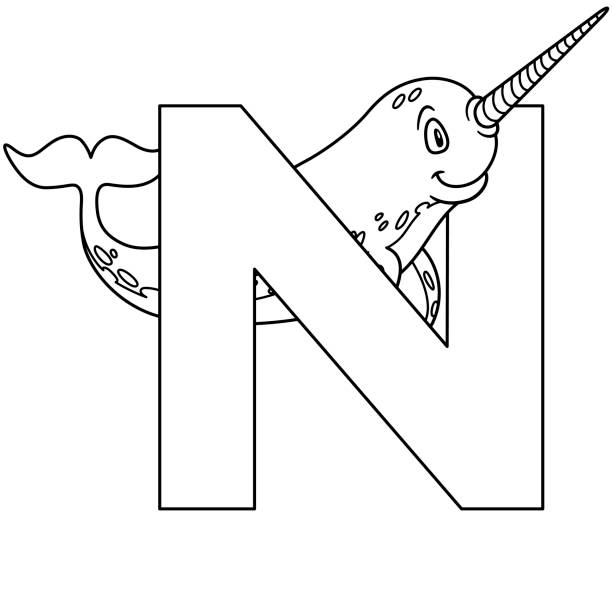 Animal Alphabet Capital Letter N Narwhal Illustration For Pre School  Education Kindergarten And Foreign Language Learning For Kids And Children  Coloring Page And Books Zoo Topic Stock Illustration - Download Image Now -