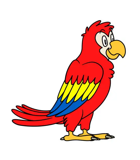 Vector illustration of animal parrot. illustration. For pre school education, kindergarten and kids and children. For print and books, zoo topic. red tropical bird with smiling happy face, friendly