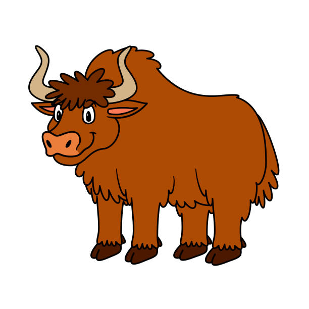 Cartoon Animal Yak Illustration For Pre School Education Kindergarten And  Kids And Children For Print And Books Zoo Topic Smiling With Happy Face  Stock Illustration - Download Image Now - iStock