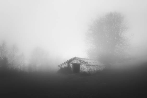 istock rural shed with fog in black and white 1248712864