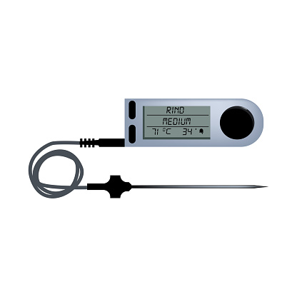 Core temperature sensor . Kitchen thermometer, laboratory thermometer, digital tool. Thermometer concept. can be used for topics like measurement, cooking, science
