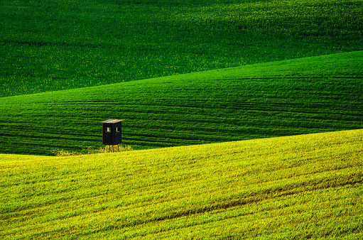 Rolling green hills with fields and wooden hunting shack suitable for backgrounds or wallpapers, natural seasonal landscape.