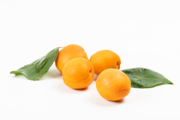 Apricot isolated on white background