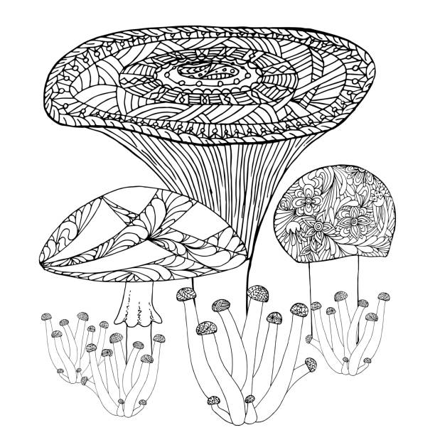 istock Mushroom doodle set art monochrome design stock vector illustration 1248723116
